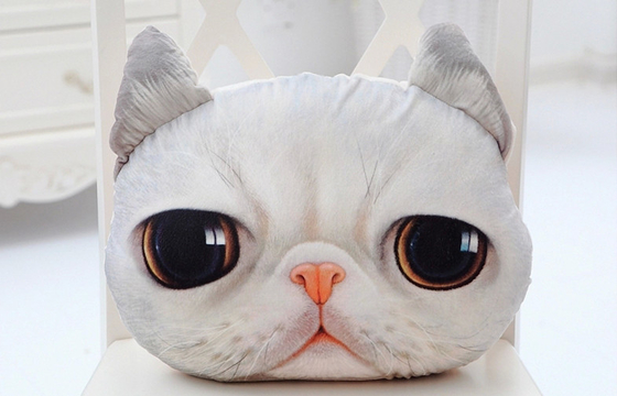 3D twarz kota Prezenty miękkie nadziewane Plush Poduszka, poduszki dekoracyjne na kanapie